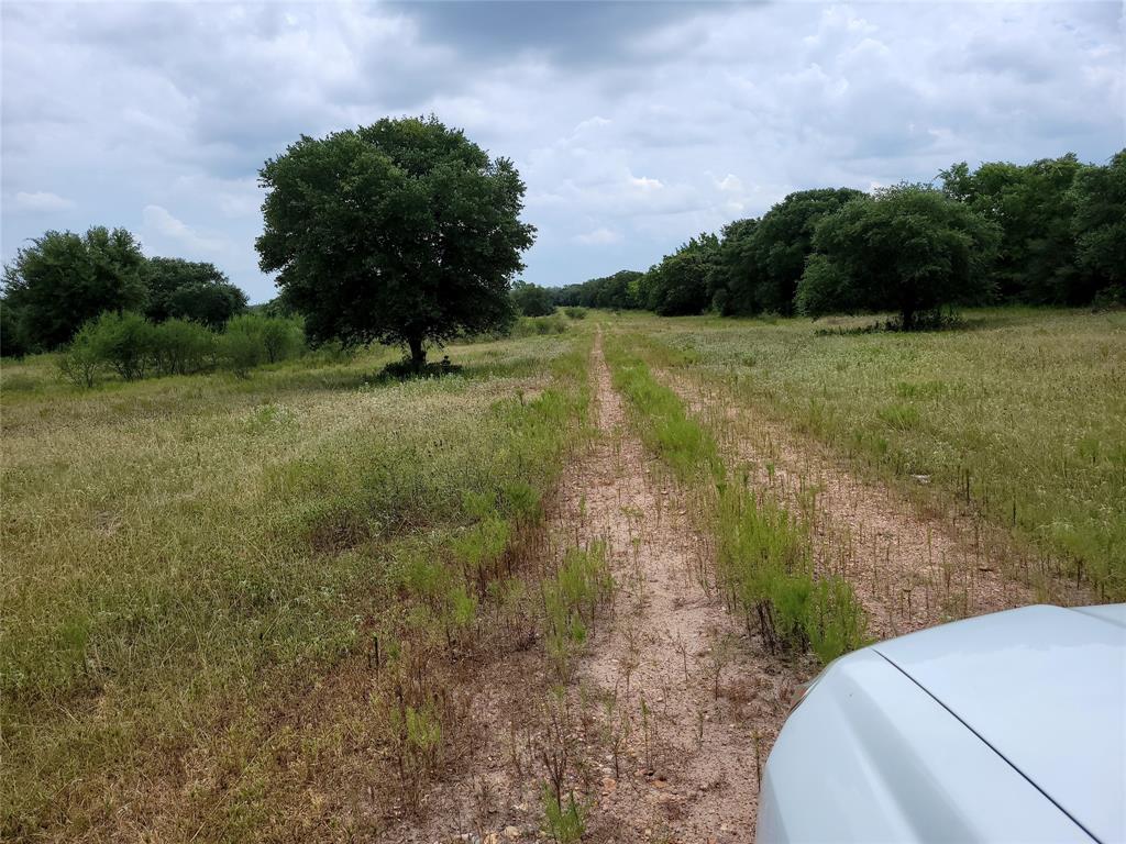 County Road 383, Hallettsville, Texas image 3