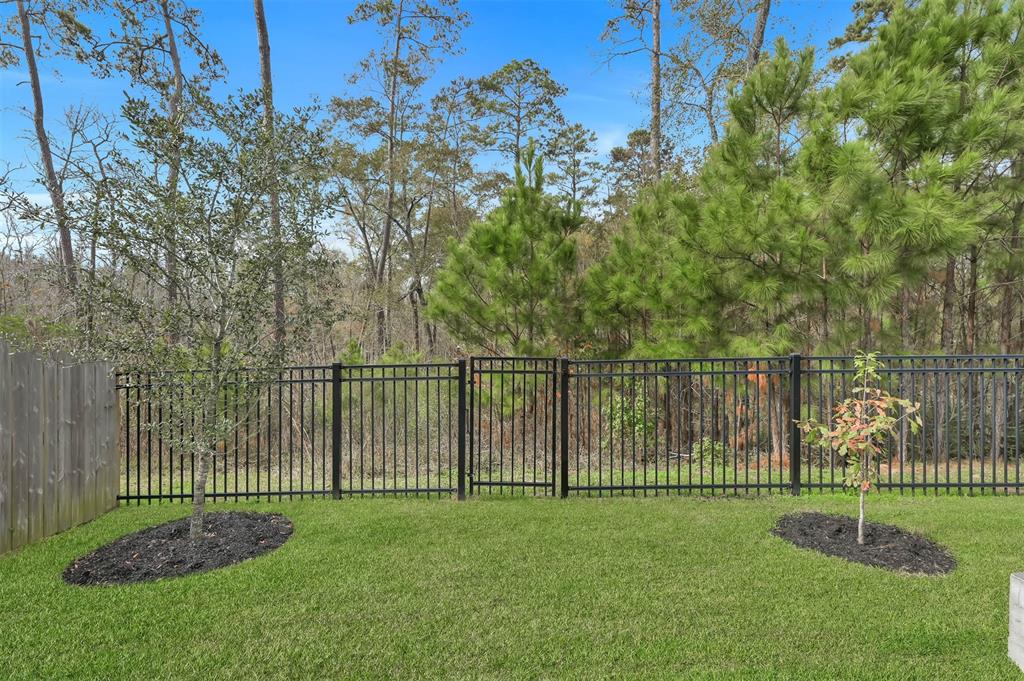 122 Lace Bark Drive, Conroe, Texas image 37