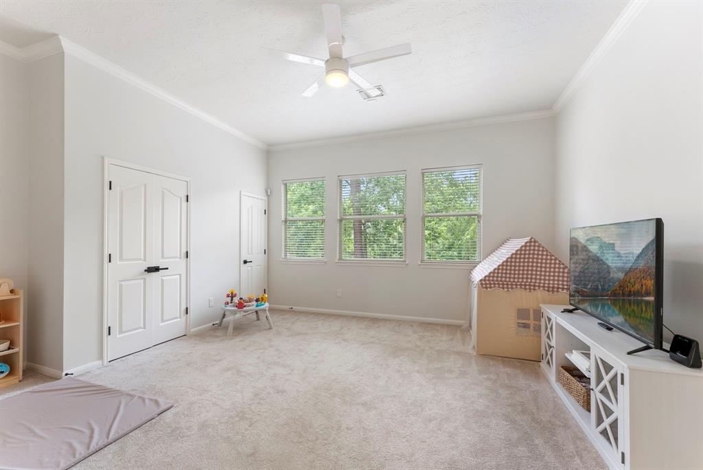 6 Cranberry Bend, The Woodlands, Texas image 31