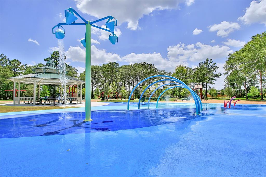 10351 Red Cardinal Drive, Cleveland, Texas image 10