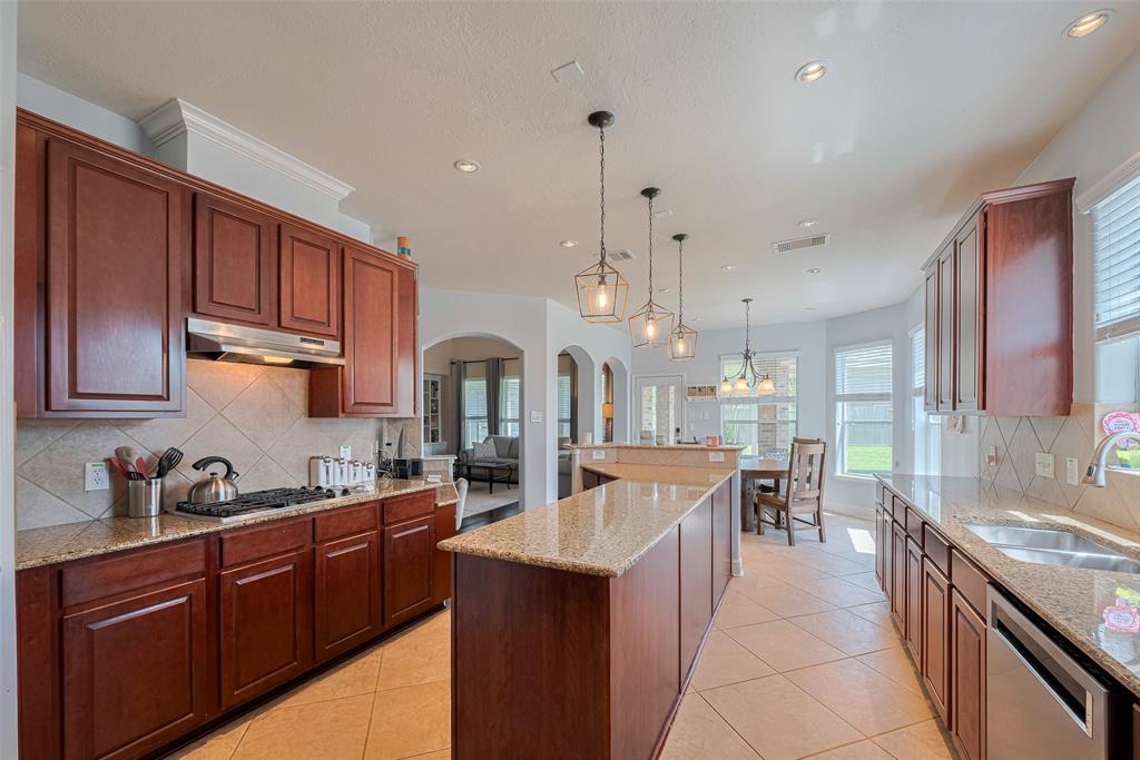 3109 Birch Landing Court, Pearland, Texas image 10