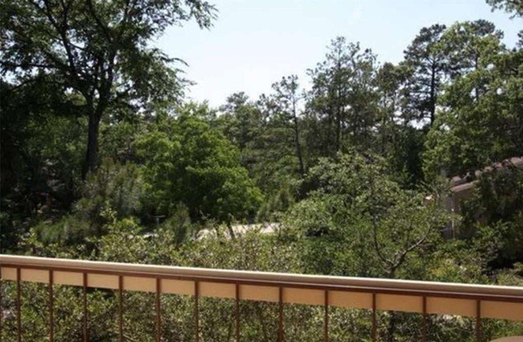 3500 Tangle Brush Drive #69, The Woodlands, Texas image 11