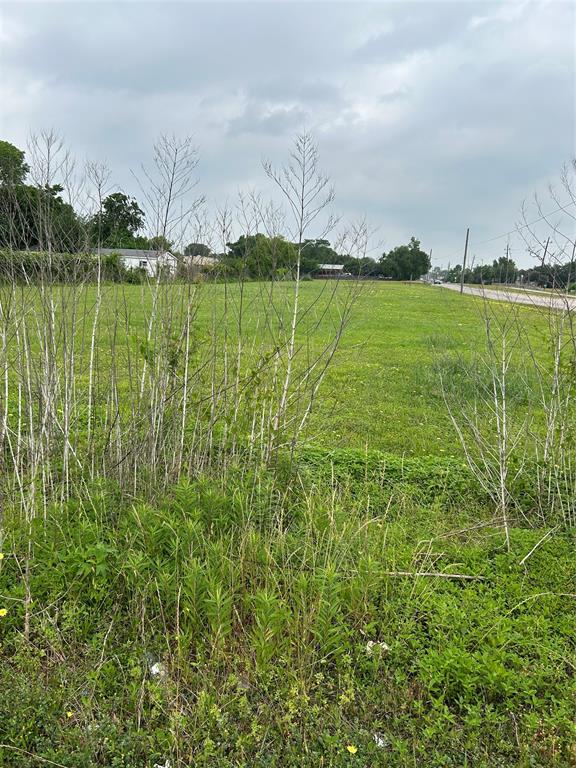 Bammel N Houston Road, Houston, Texas image 6