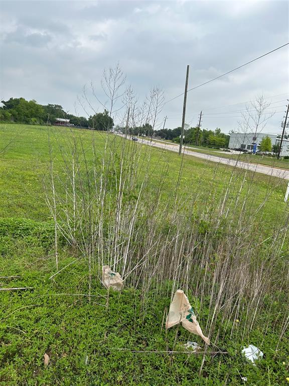 Bammel N Houston Road, Houston, Texas image 4