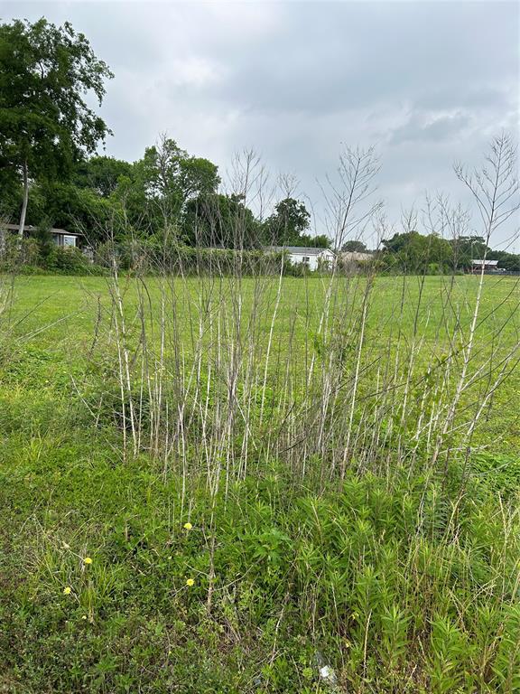 Bammel N Houston Road, Houston, Texas image 3
