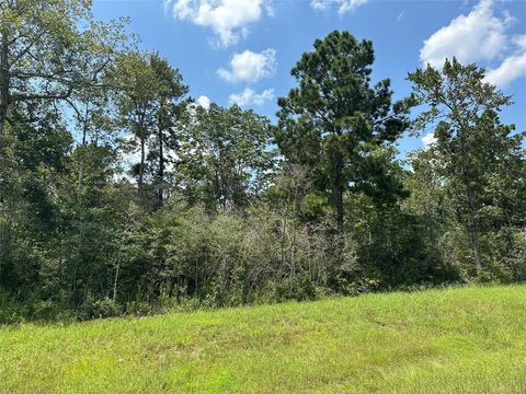 Photo of 377 Exploration Road, New Waverly, TX 77358 (MLS # 2593891)