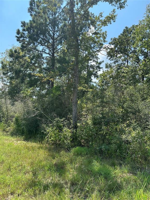 377 Exploration Road, New Waverly, Texas image 5