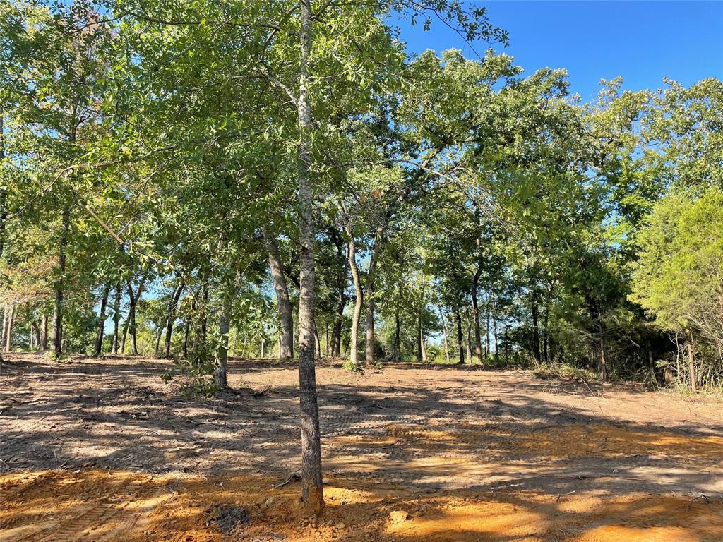 TR27 10ac+- Timbercrest Ranch, Jewett, Texas image 17