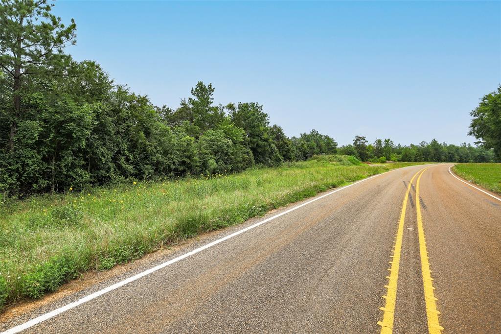 0000 Fm 2544 Tract 2, Grapeland, Texas image 6