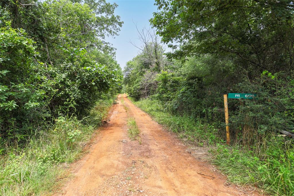 0000 Fm 2544 Tract 2, Grapeland, Texas image 8