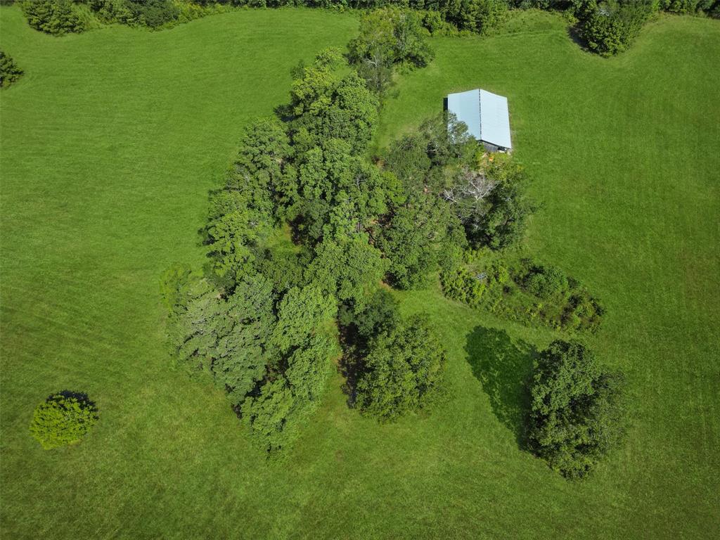 00 Forest Service Road 201, Cleveland, Texas image 9