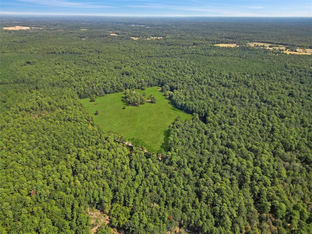 00 Forest Service Road 201, Cleveland, Texas image 7