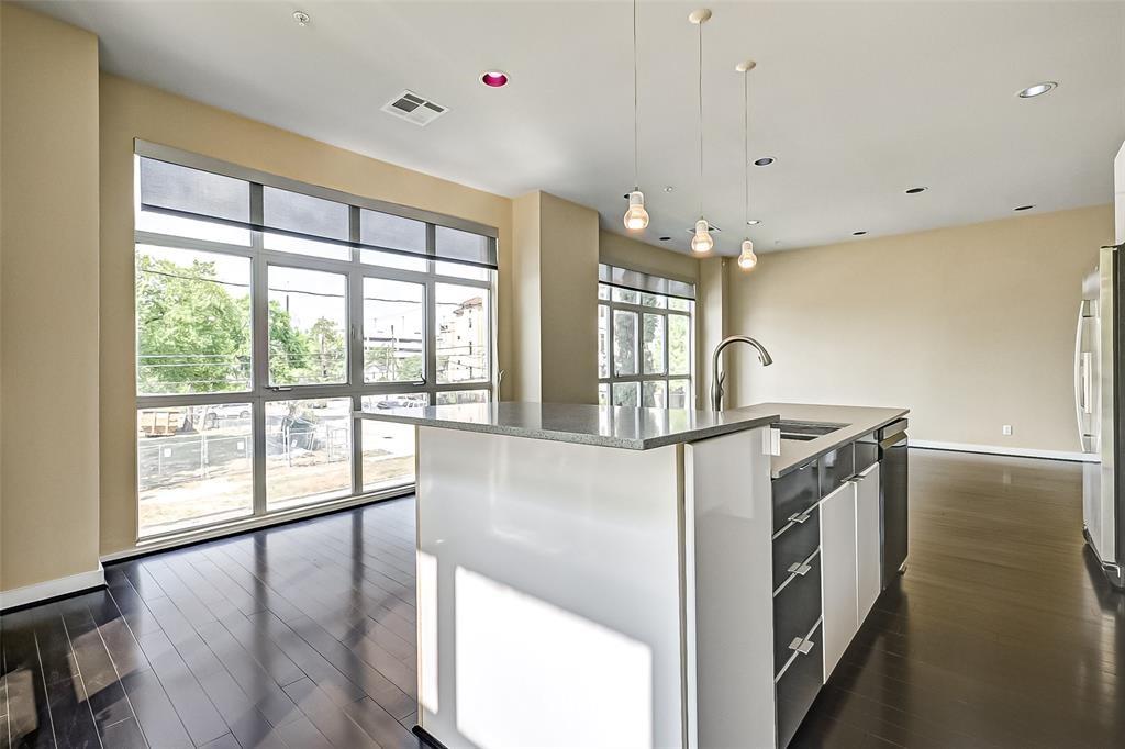 207 Pierce Street #205, Houston, Texas image 22