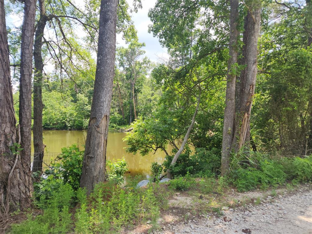 Lot 2 Hollybrook Drive, Plantersville, Texas image 5