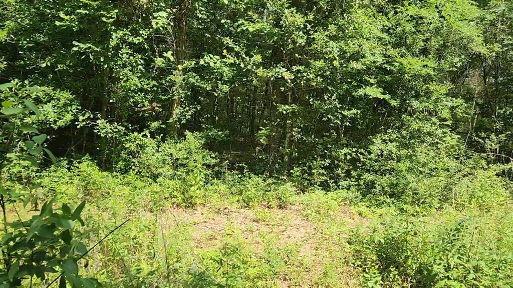Lot 2 Hollybrook Drive, Plantersville, Texas image 9