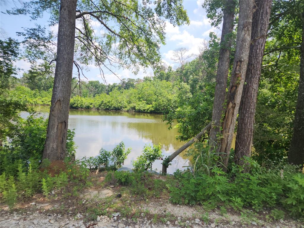 Lot 2 Hollybrook Drive, Plantersville, Texas image 6