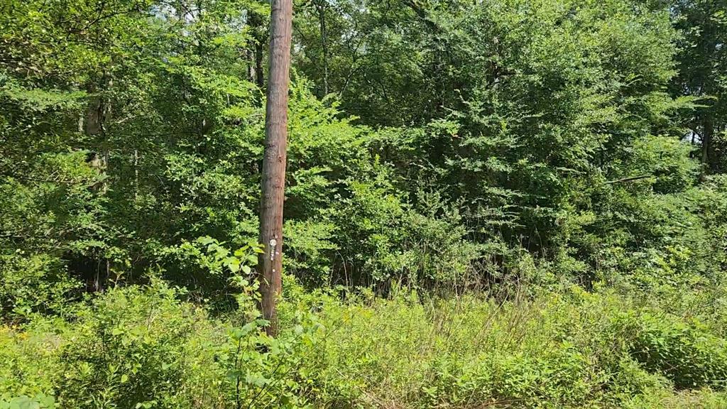 Lot 2 Hollybrook Drive, Plantersville, Texas image 22