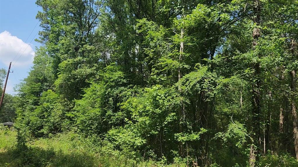 Lot 2 Hollybrook Drive, Plantersville, Texas image 18