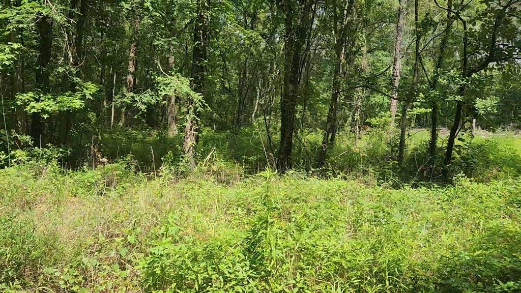 Lot 2 Hollybrook Drive, Plantersville, Texas image 16