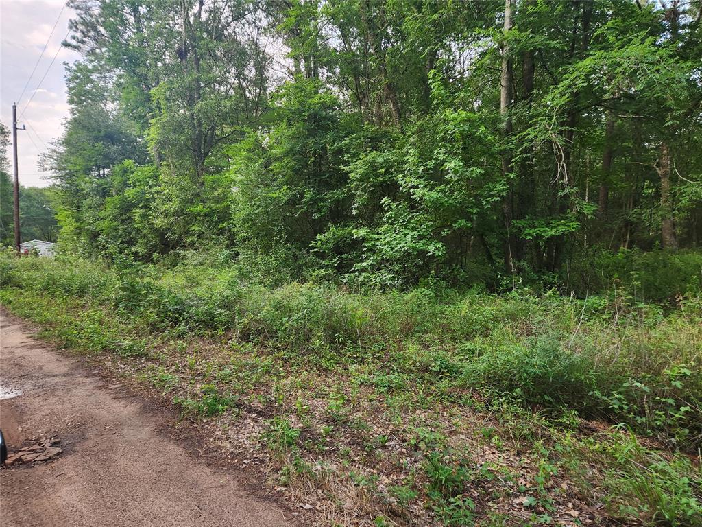 Lot 2 Hollybrook Drive, Plantersville, Texas image 3