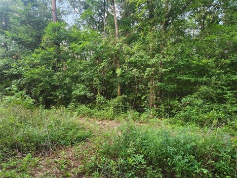 Lot 2 Hollybrook Drive Plantersville TX 77363