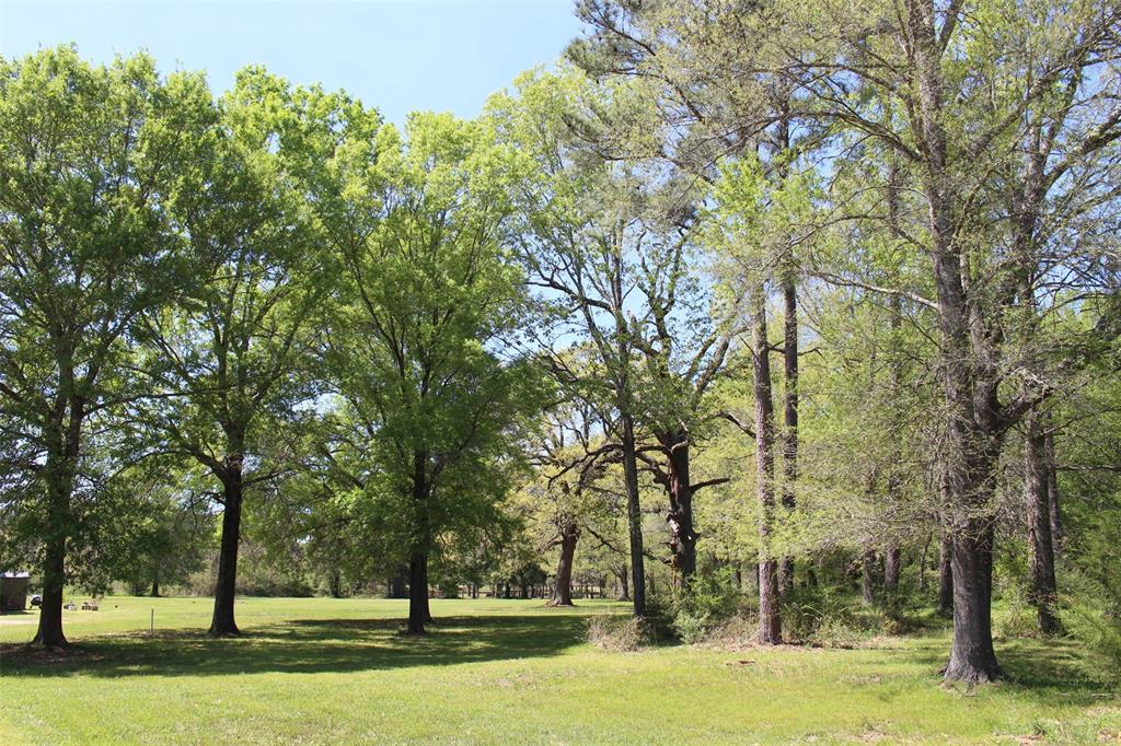 542 NE Briargrove Street, Crockett, Texas image 49