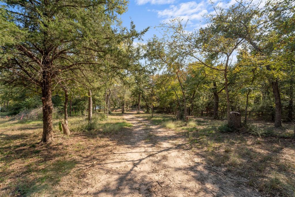 TBD Pr 3195, Jewett, Texas image 7