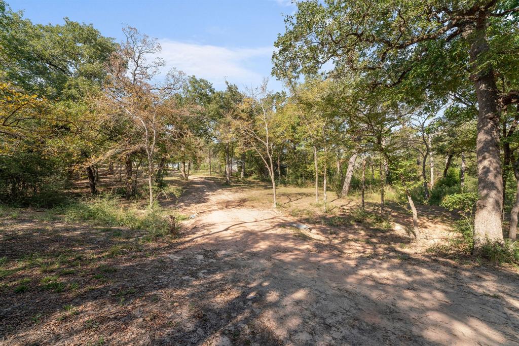 TBD Pr 3195, Jewett, Texas image 9