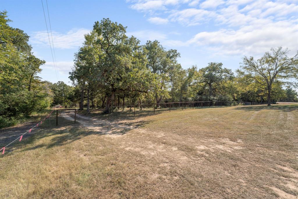 TBD Pr 3195, Jewett, Texas image 6