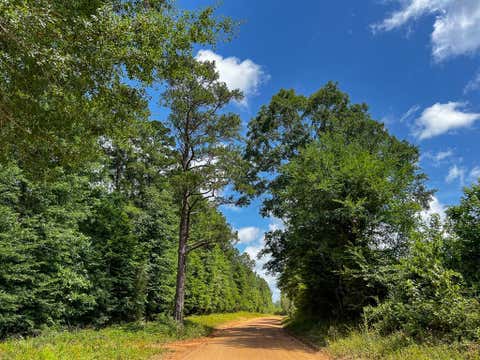 Vacant Land For Sale - 0000000 Kelley Road<br/> Livingston, TX 77351