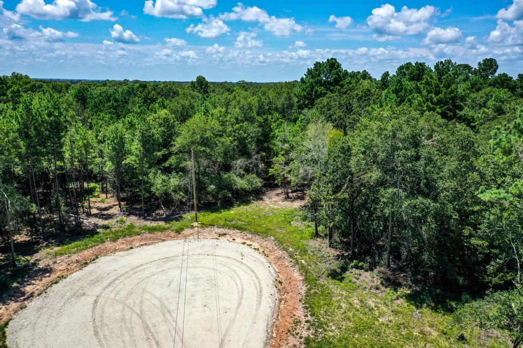 10.01 Acres Ranches At Lone Star Ridge, Lovelady, Texas image 4