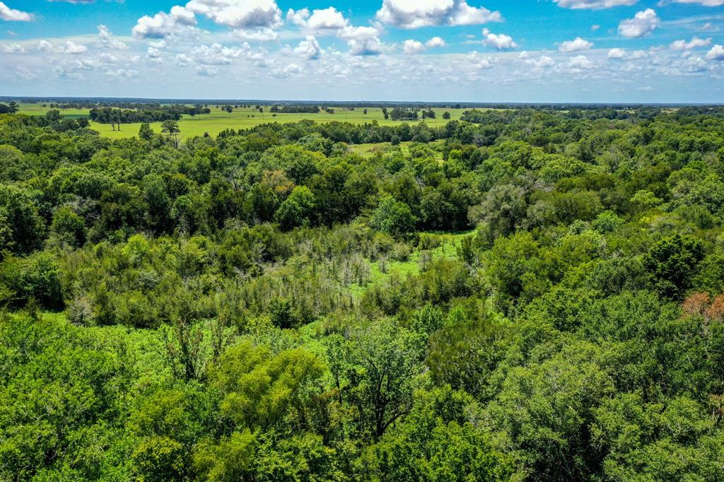 10.01 Acres Ranches At Lone Star Ridge, Lovelady, Texas image 13