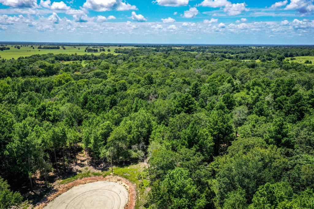 10.01 Acres Ranches At Lone Star Ridge, Lovelady, Texas image 14