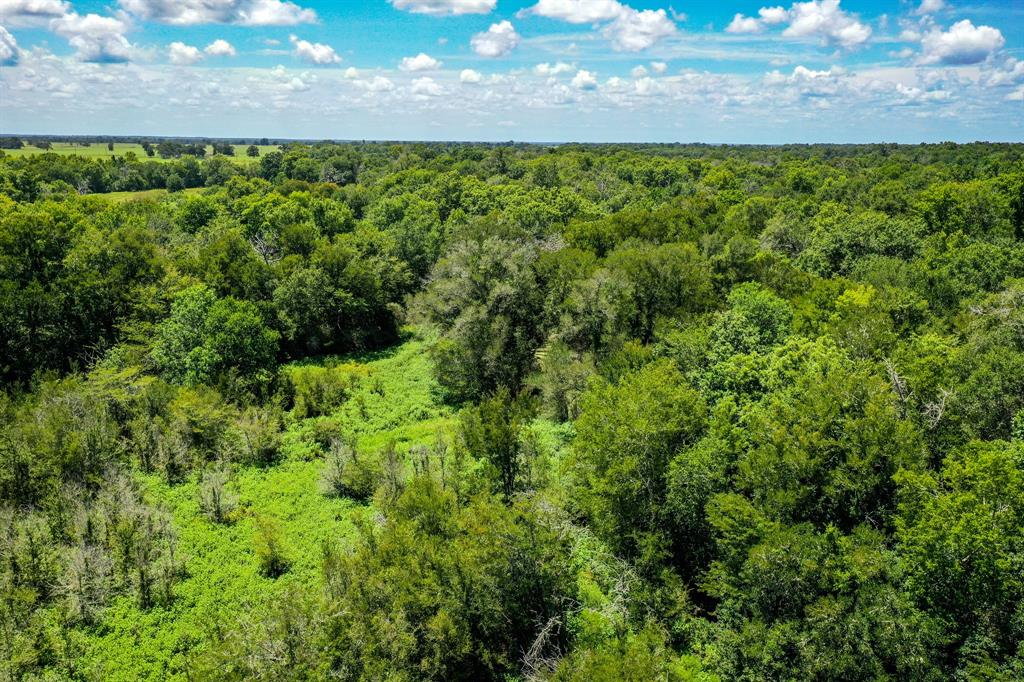 10.01 Acres Ranches At Lone Star Ridge, Lovelady, Texas image 2