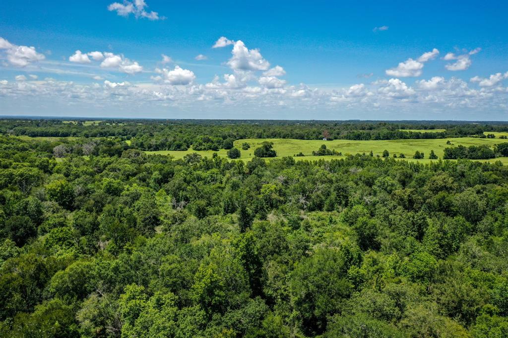 10.01 Acres Ranches At Lone Star Ridge, Lovelady, Texas image 7