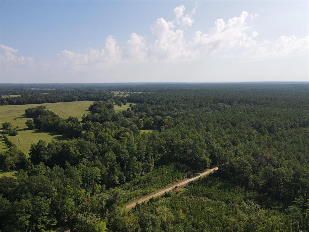 TBD E Forest Service Rd 527, Kennard, Texas image 4