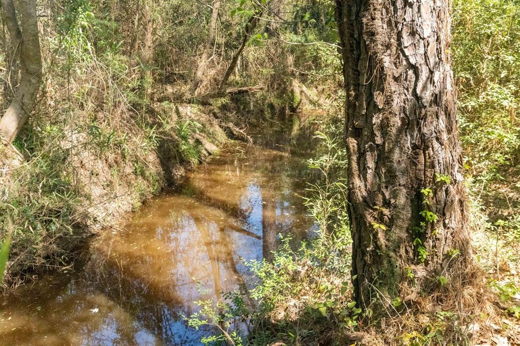 TBD E Forest Service Rd 527, Kennard, Texas image 9
