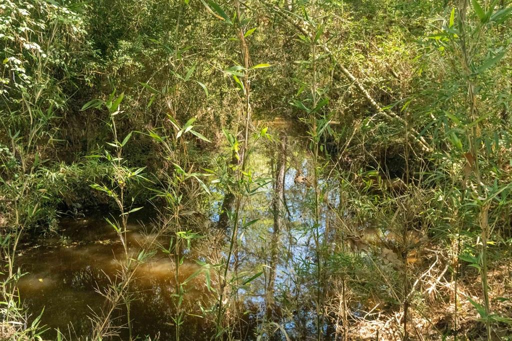 TBD E Forest Service Rd 527, Kennard, Texas image 3