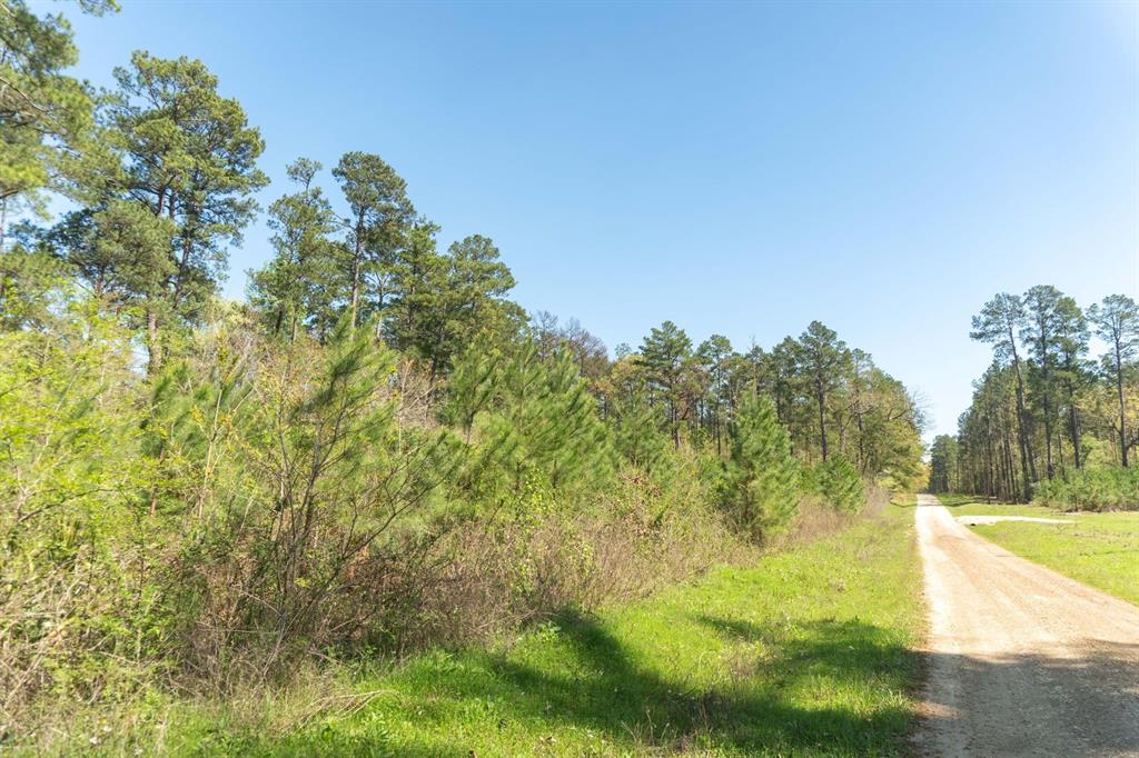 TBD E Forest Service Rd 527, Kennard, Texas image 26