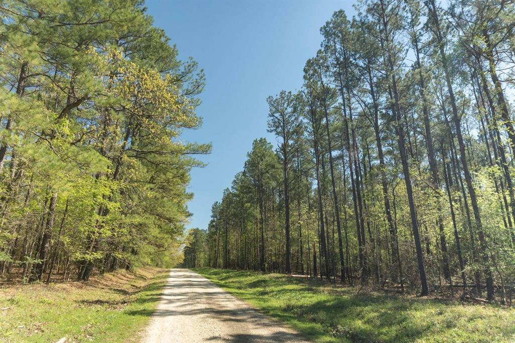 TBD E Forest Service Rd 527, Kennard, Texas image 20