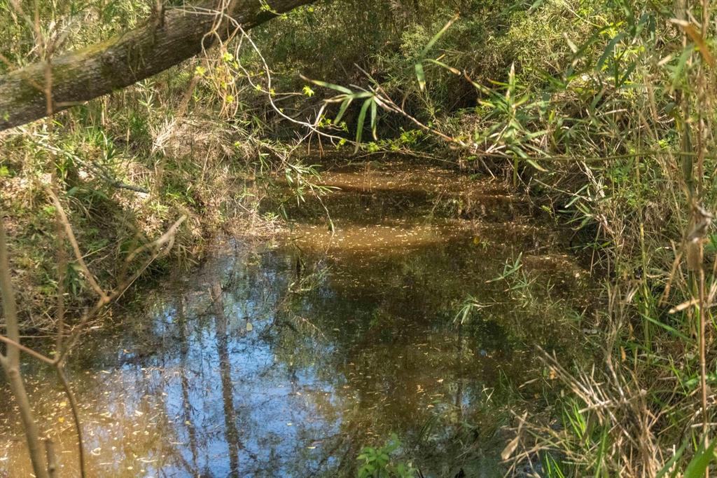 TBD E Forest Service Rd 527, Kennard, Texas image 21
