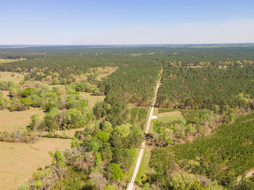 TBD E Forest Service Rd 527, Kennard, Texas image 8