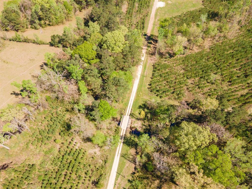 TBD E Forest Service Rd 527, Kennard, Texas image 24