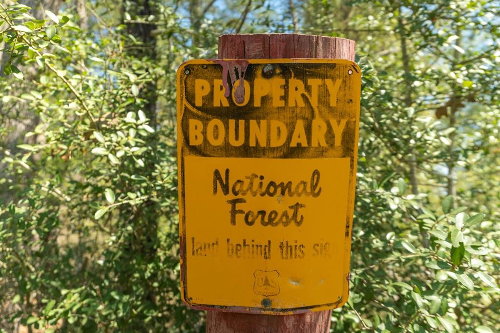 TBD E Forest Service Rd 527, Kennard, Texas image 1