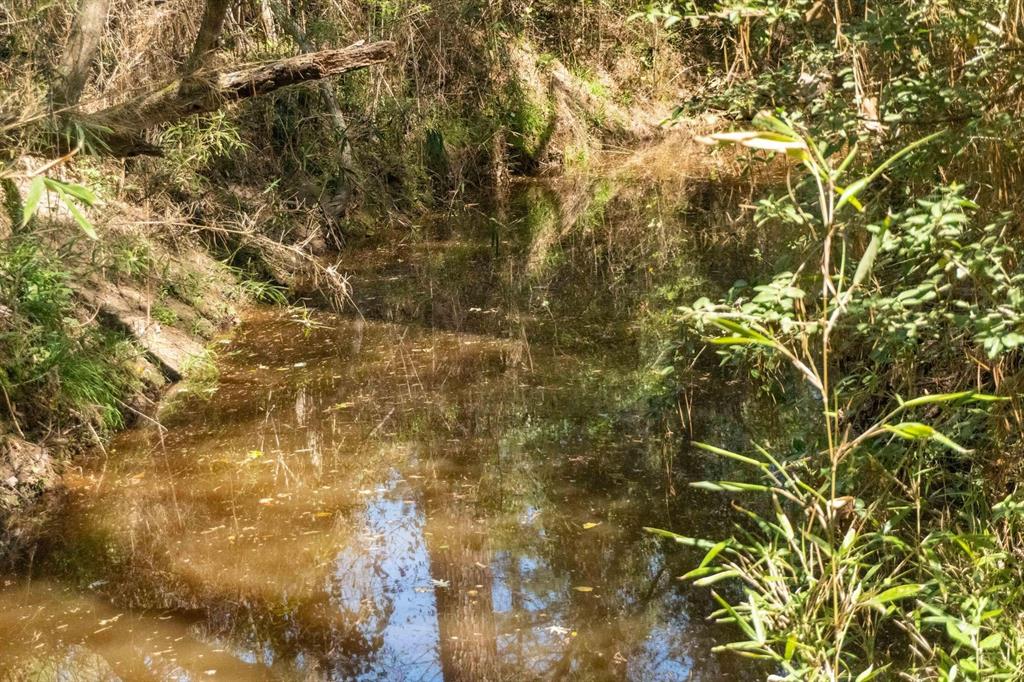 TBD E Forest Service Rd 527, Kennard, Texas image 29