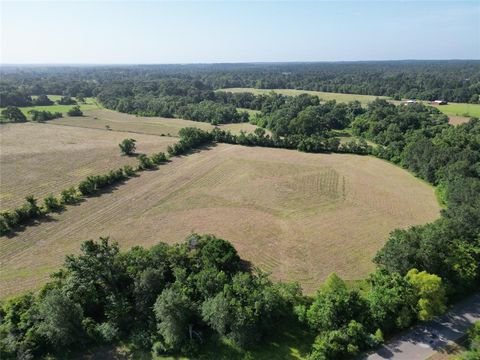 Photo of 50 County Road 202, Plantersville, TX 77363 (MLS # 72269336)