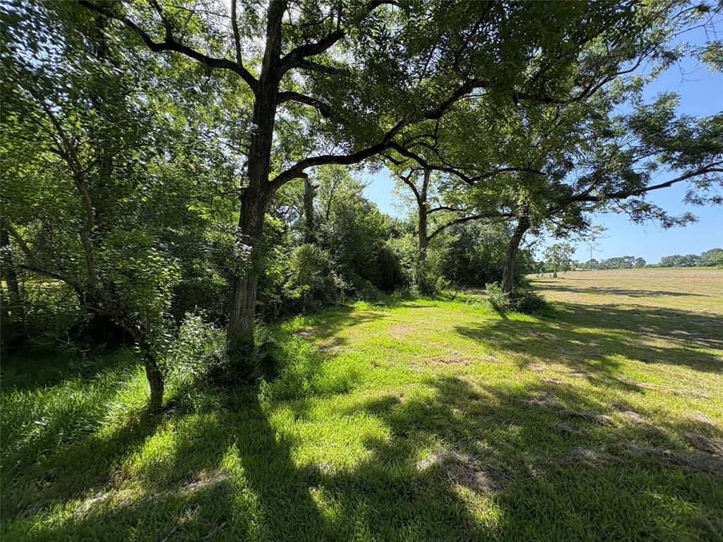 44.33 Acres County Road 202