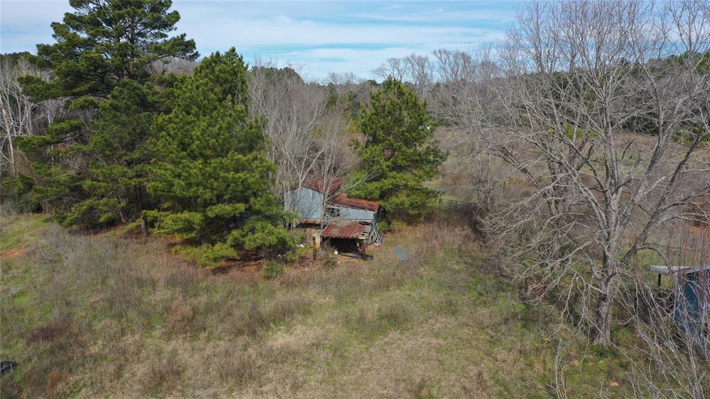 TBD Lot 4 County Road 2240, Grapeland, Texas image 12
