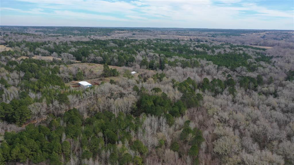 TBD Lot 4 County Road 2240, Grapeland, Texas image 8