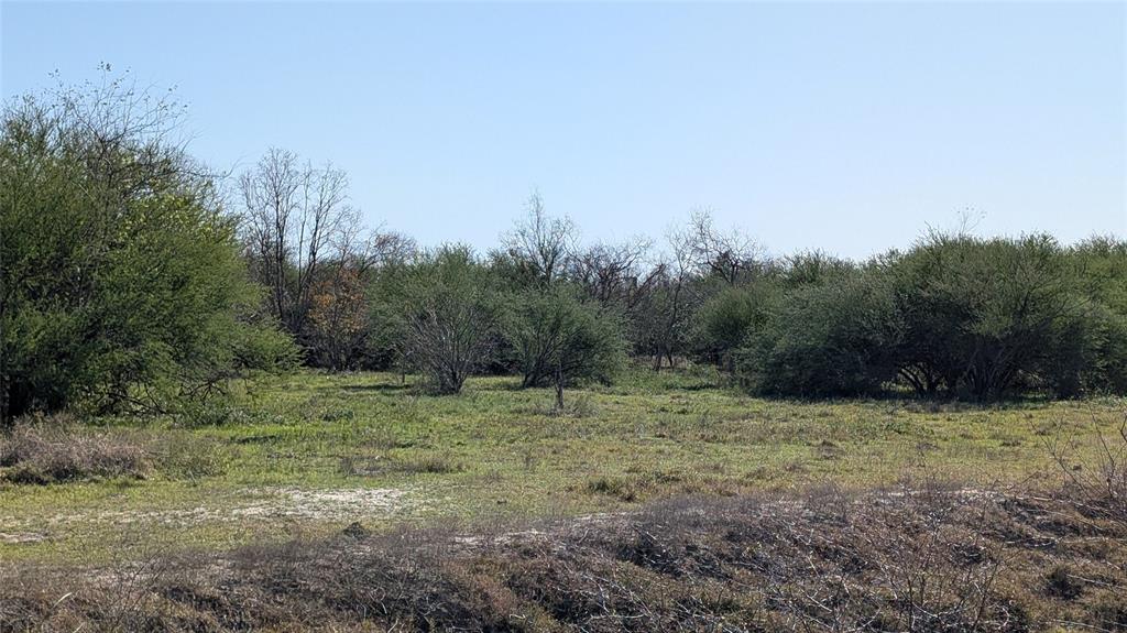 0000 S Meadow Lane, El Campo, Texas image 8